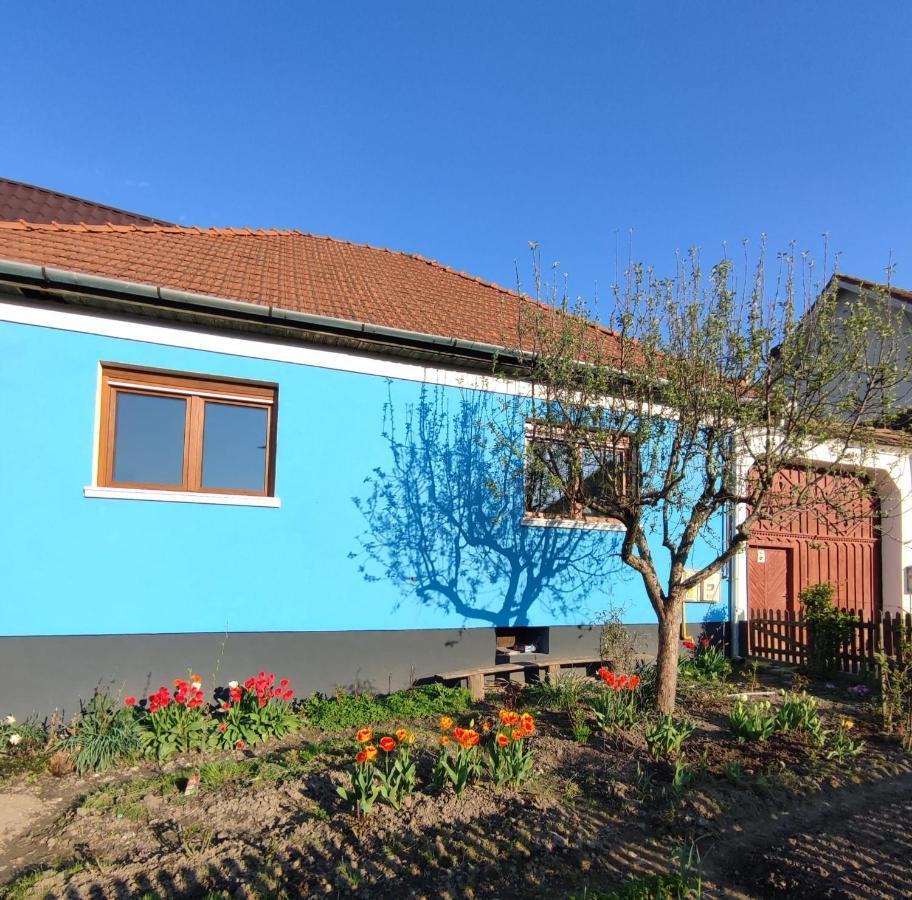 Blue Home Avrig Zewnętrze zdjęcie