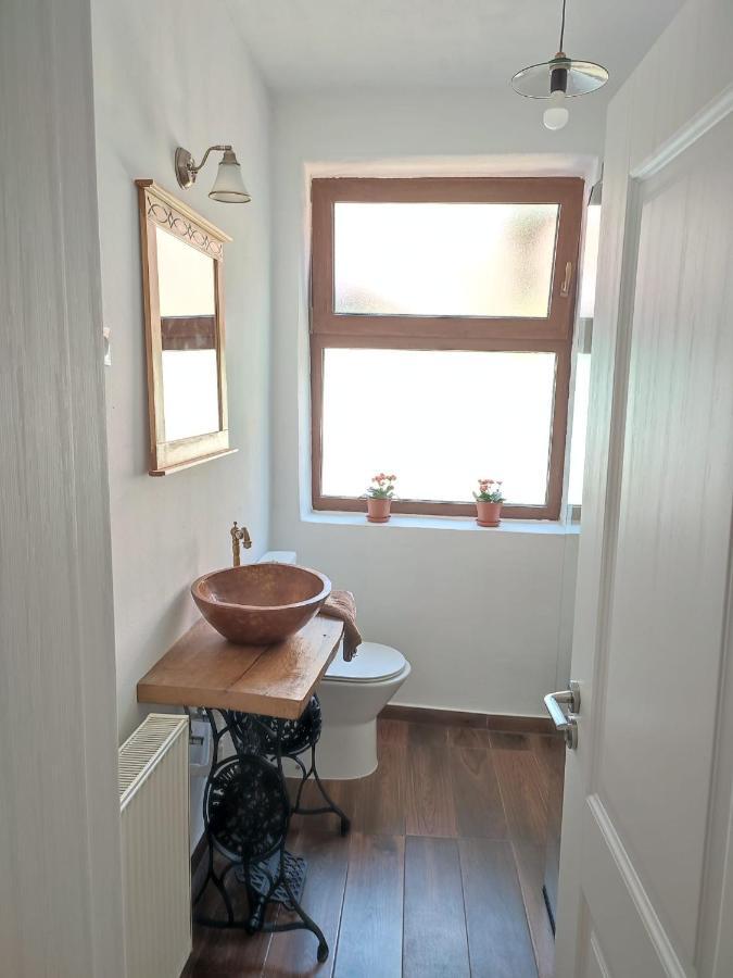 Blue Home Avrig Zewnętrze zdjęcie