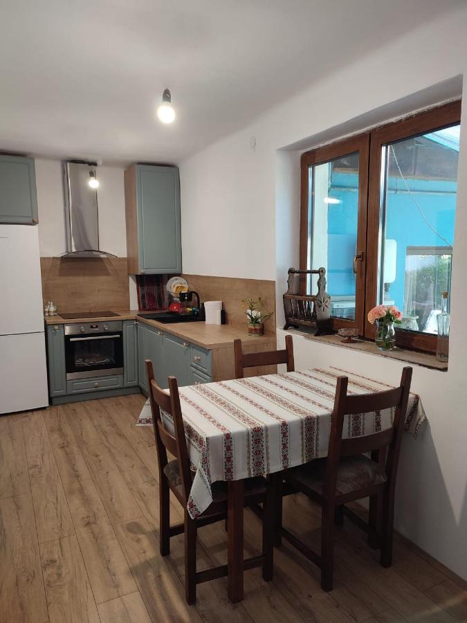 Blue Home Avrig Zewnętrze zdjęcie